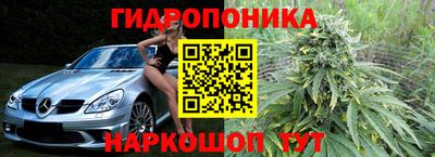 хмурый Аргун