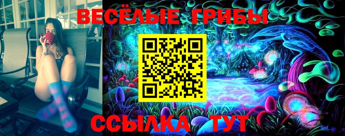Белгород  Галлюциногенные грибы прущие грибы  Вход с VPN 