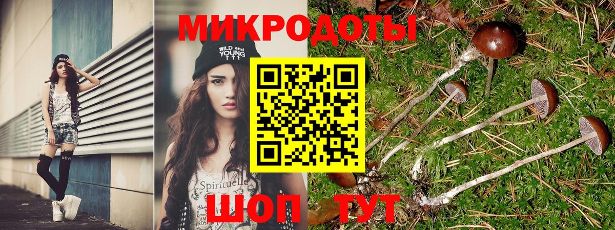 Галлюциногенные грибы Psilocybe Белгород